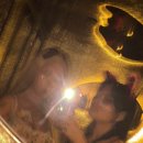 앨리스캣(Alice CAT) 이미지