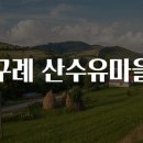 언제나봄날 민박 | 구례 산수유마을 구경 가요