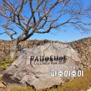 제주무릉도원집 | 제주 애월 이색 핫플 | 5살 아이와 파호이호이 라바필드 파크 후기