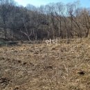 한삼농장 이미지