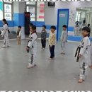 경희대 SJC 태권도장 이미지