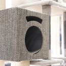 멍멍야옹 이미지