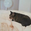 새로나약국 이미지