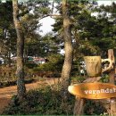 강정동-22 이미지