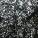 푸른숲작은도서관 이미지