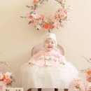 첫번째 계절 | 300일 아기 첫번째계절 스튜디오 돌사진 촬영 후기 고양아기사진관