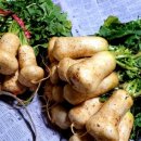 대율마트 이미지