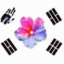 한국유아체육지도자협회 이미지