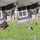 의리농장 이미지