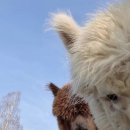 브라보캠핑장 이미지