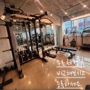 바디피티 이미지