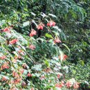 하늘여울소치마을 이미지