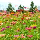 북구 구민운동장 이미지