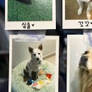 견생냥품무인24시파주운정해오름