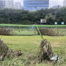 성남둔치 이미지