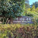 감천산림공원 이미지