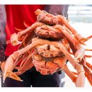 바다를 품고있는 오션뷰 영덕 강구항 맛집 남은대게