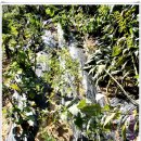 한들농장 이미지