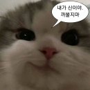 시마 - 영도구 동삼로 105 | 시마
