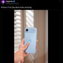 스카이블루 이미지