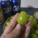 한아름농장2 네이버블로그