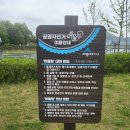 생성-꽃이피다 이미지