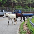 활보농장 이미지