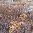 씨사이드파크 관리소 이미지