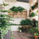 취다선리조트 이미지