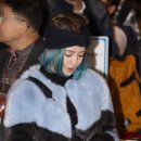 민들레패션 이미지