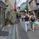 시부야 네이버블로그