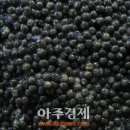 충청남도, “철갑상어 캐비어, 단백질 함량 월등”
