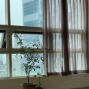 요가스테(YOGASTE) 이미지