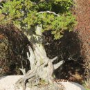 가평의아침 이미지