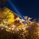 일본어(야간) 이미지