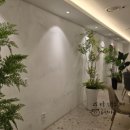 아리아리정선 주엽점 이미지