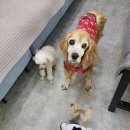 토곡동물병원 이미지