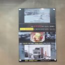 골목냉면<삼선교> | 프랜차이즈 냉면 다운 무난하게 맛있는 물냉면, 한성대입구역 삼선교 골목냉면 내돈내산 후기