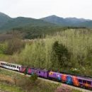 아리랑열차 연계형 시티투어2 이미지