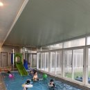 아이나래풀 이미지