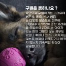 강아지 정보(뾰루지/샤인머스캣) 35 (122) 이미지