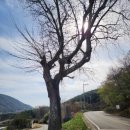 남해군서면중현보건진료소 이미지