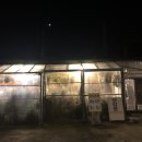 상미농원 이미지