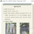 39회 한국사능력검정시험 중급 47번 : 연해주 지역에서의 민족운동 이미지