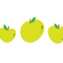 타파웨어 상록수 이미지