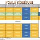 크로스핏 코알라 이미지