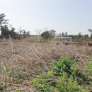 시흥리마을회관 이미지