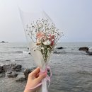 드라마 호텔 | 🌷 대천여행 그리고 군산여행 🚗 + 조개구이