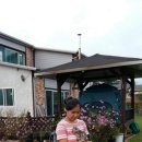 베스트 캣 이미지