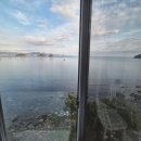 다옴 애견동반 펜션 | 여수 느낌 스파애견동반 펜션 솔직 후기